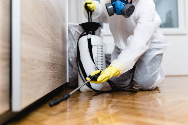 Best Termite Control Services  in Weston, NJ