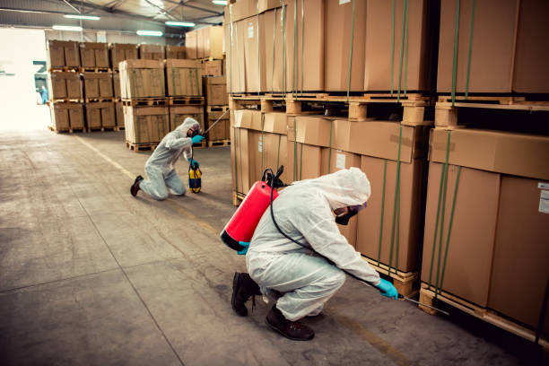 Best Mosquito Control Services  in Weston, NJ