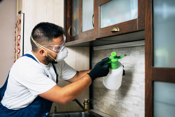 Best Pest Control Near Me  in Weston, NJ