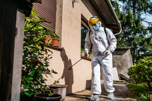 Best Mosquito Control Services  in Weston, NJ