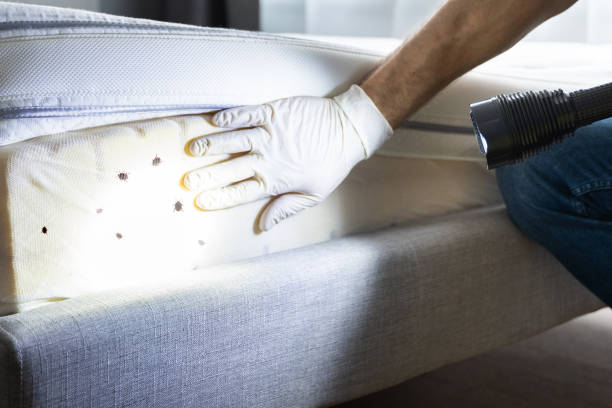Best Rat Extermination Near Me  in Weston, NJ