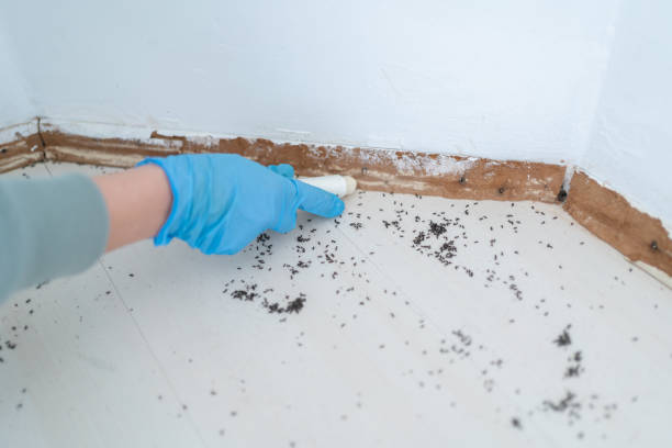 Trusted Weston, NJ Pest Control Experts